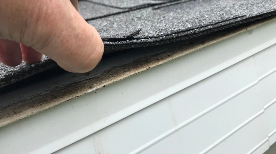 roof insurance claim tempe az